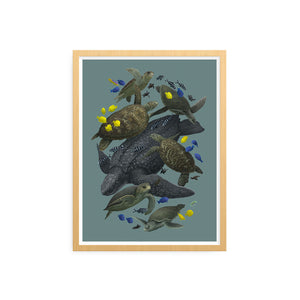 Sea Turtles of the World