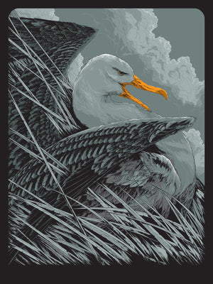 Albatross