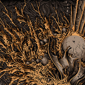 The Celestial Hippocampus