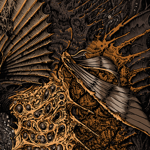 The Celestial Hippocampus