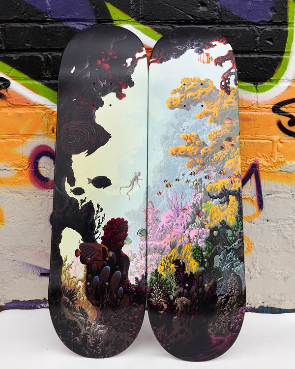 A Dream of the Reef - Skateboard Diptych Set