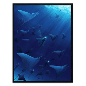 Wings Under the Waves