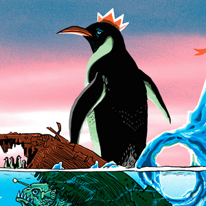 Emperors of the North Watch the Clock