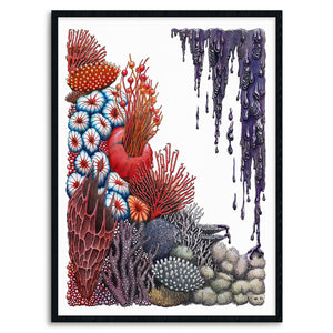 Ocean Acidification