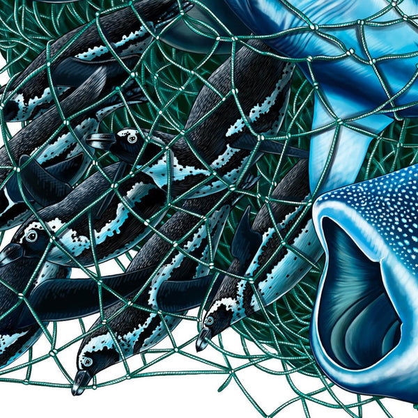 Bycatch