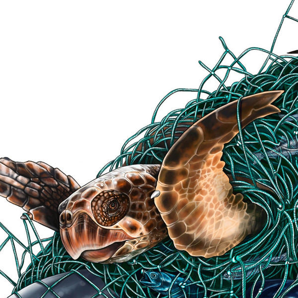 Bycatch