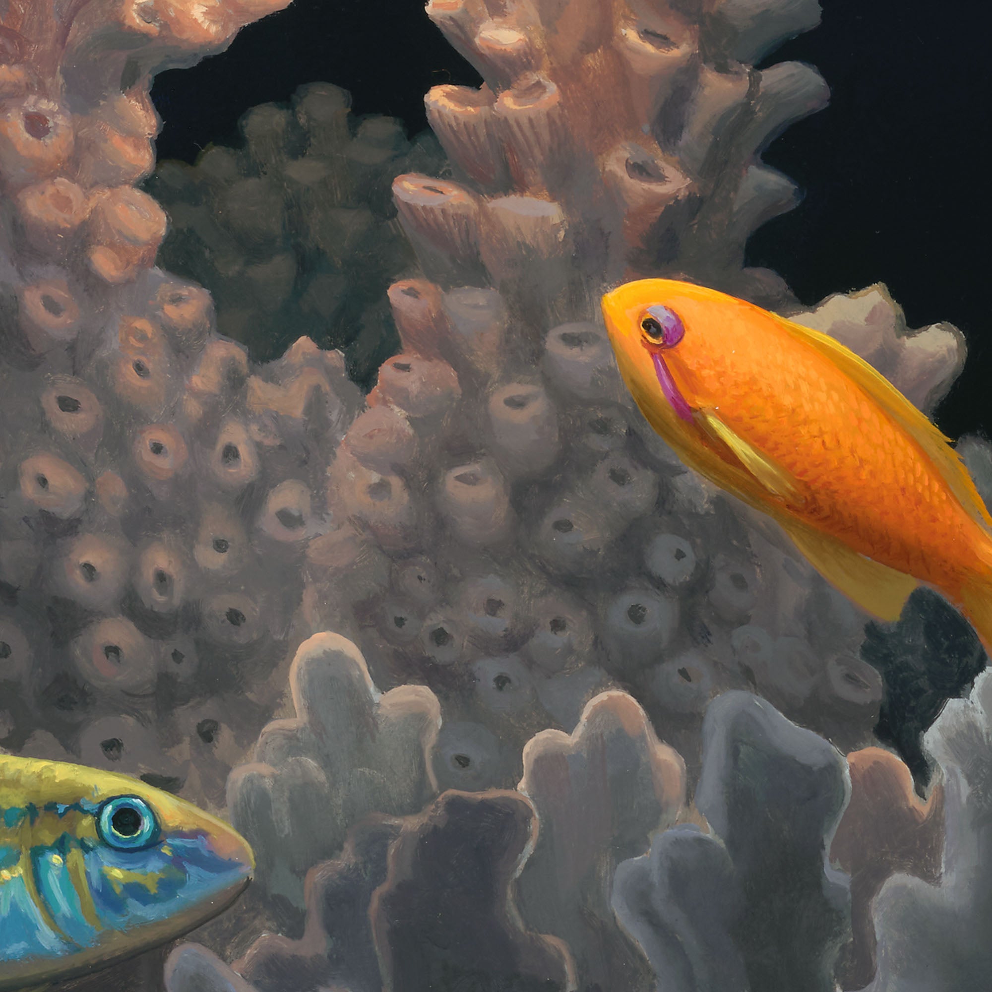 Coralabra by Jon Ching Limited Edition Print on Coral Bleaching