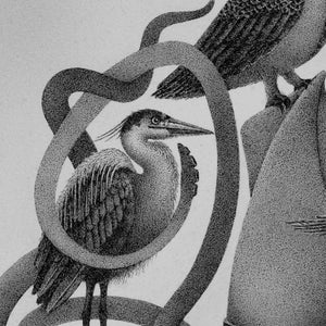 William and the Seabirds