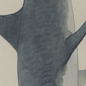 Shark Charmer