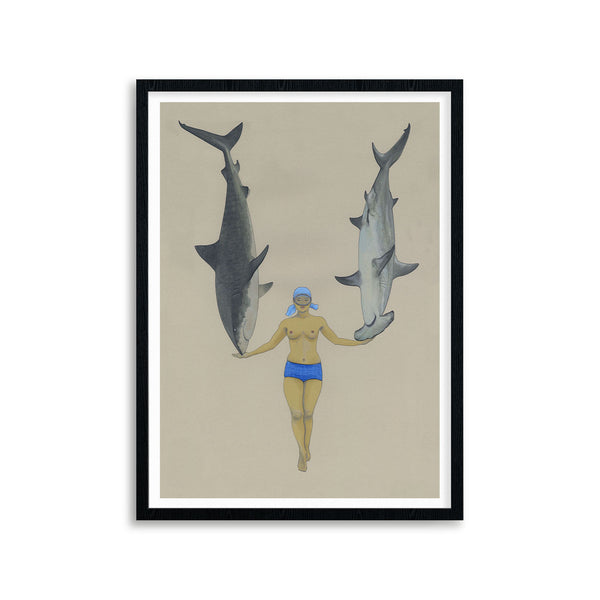 Shark Charmer