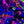 The Inky Depths