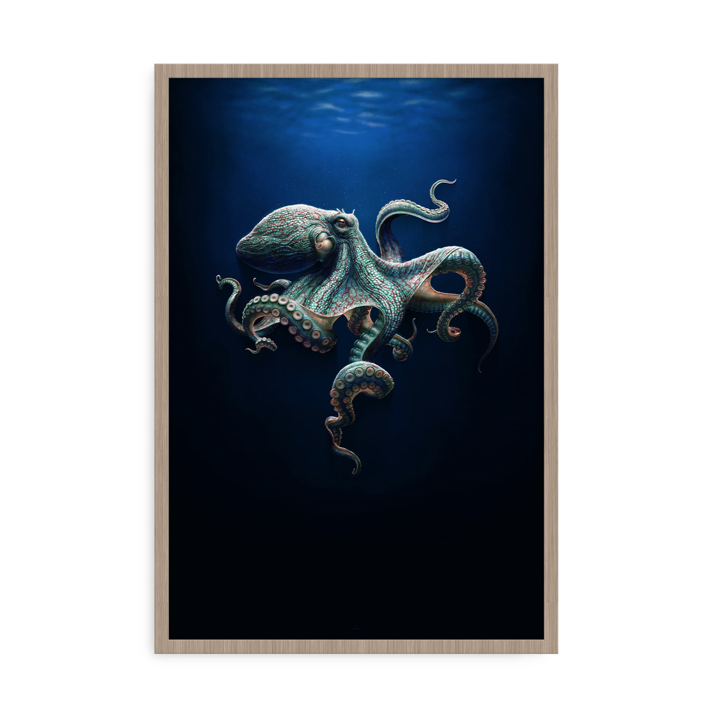 Image: https://shop.pangeaseed.org/cdn/shop/files/NC_Winters_Octopus_Variant_Mockup_White.jpg?v=1745277124 Chromatic Intellect