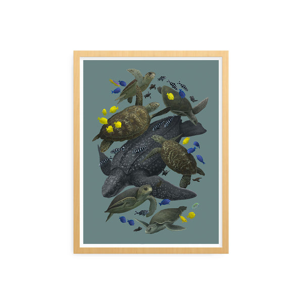 Sea Turtles of the World