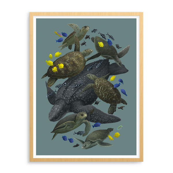 Sea Turtles of the World