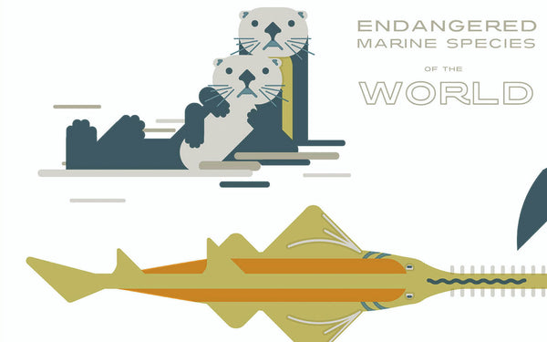 Endangered Marine Species of the World