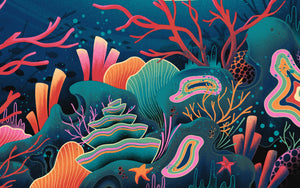 Fragile Waters