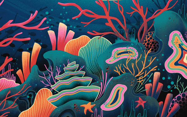 Fragile Waters
