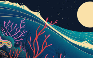 Fragile Waters