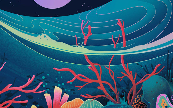 Fragile Waters
