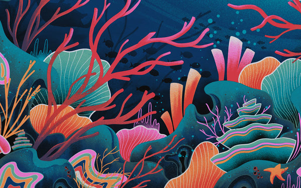 Fragile Waters