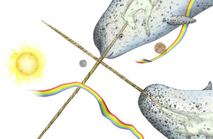 Celestial Bodies