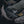 Sharks of the World