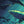 Decade of Artivism for Oceans