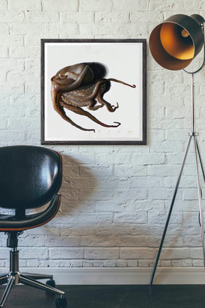 The Octopus Revisited