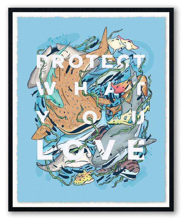 Protect What You Love: Sharks & Rays