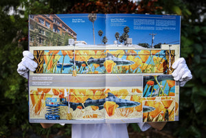 Sea Change: A Decade of ARTivism for Oceans