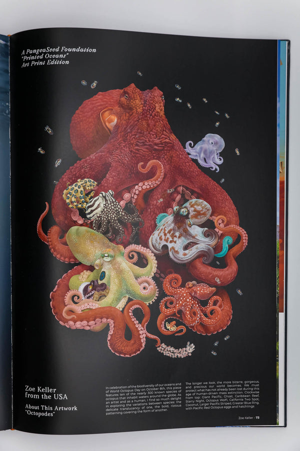 Sea Change: A Decade of ARTivism for Oceans