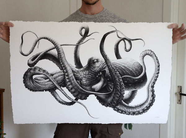 Cephalopoda I & II