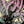 Supercritical Fluid
