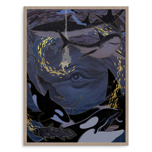 Eye of the Storm
