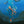 Pania of the Reef