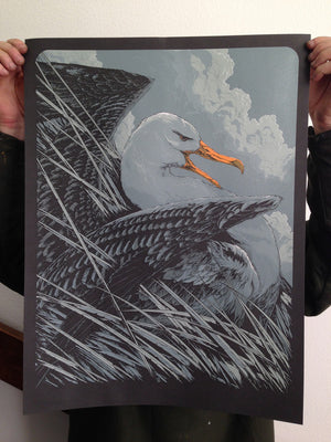 Albatross