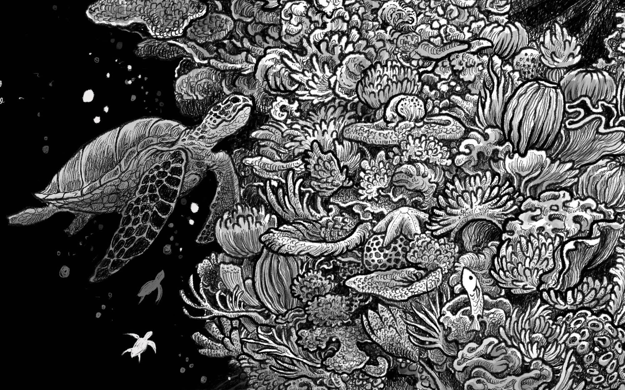 Message in a Bottle – PangeaSeed