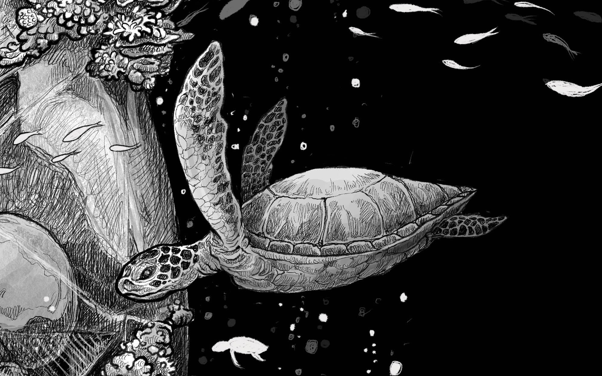 ふすい、【MESSAGE　IN　A　BOTTLE】、希少な額装用画集より Message in a Bottle – PangeaSeed