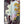 Load image into Gallery viewer, A Dream of the Reef - Skateboard Diptych Set
