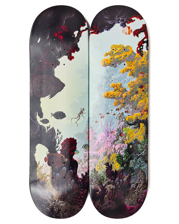 A Dream of the Reef - Skateboard Diptych Set