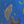 Kelp Magic