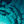 Rising Hammerheads