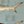 Anatomy of the Shark