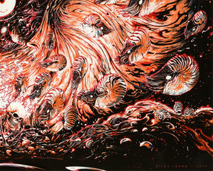 Nautilus Grave