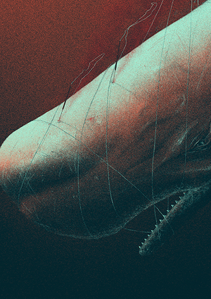 Descent to Madness