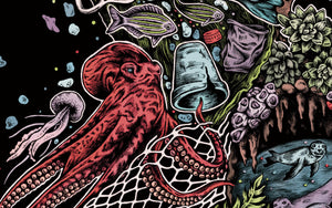 Issues Facing the Ocean: Plastic Pollution