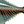 Thunnus Albacares