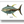 Thunnus Albacares