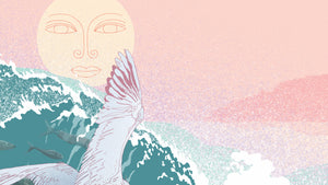 Wharenga Tairāwhiti