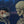 Death and Nautilus
